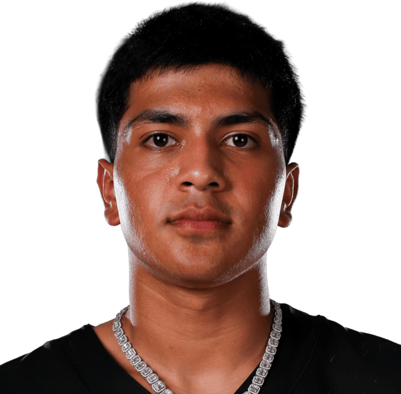 Ricardo Mendoza