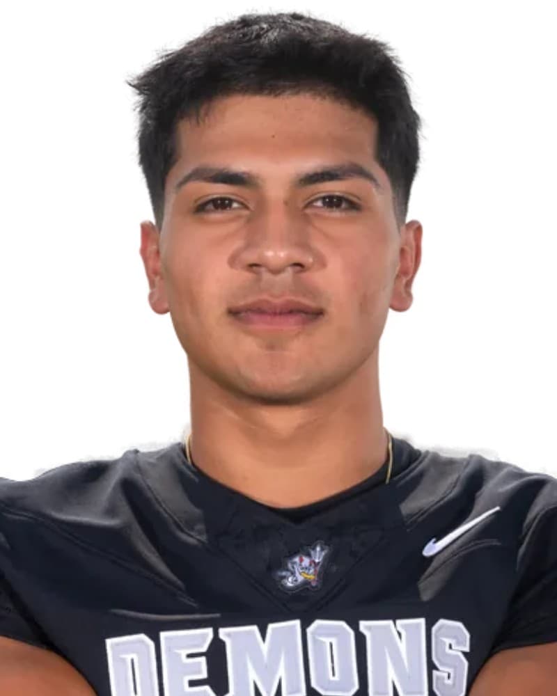 Ricardo Mendoza